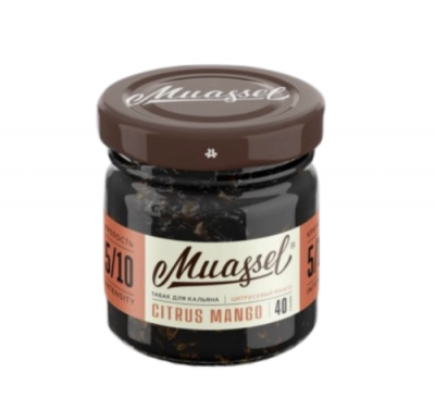 2025-06-24_18-40-19-fotor-bg-remover-20250624184050