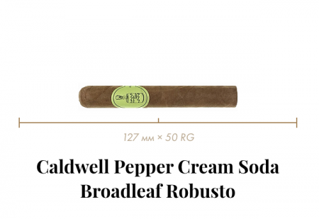 Сигара Caldwell Pepper Cream Soda Broadleaf Robusto (1 CEL, Robusto, 127 mm × 50 RG, кр. 3/5)