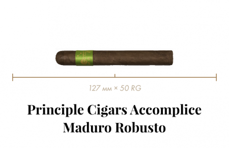 Сигара Principle Accomplice Maduro Robusto (1 CEL, Robusto, 126 mm × 46 RG, кр. 3/5)