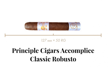 Сигара Principle Accomplice Classic White Band Robusto (1 CEL, Robusto, 126 mm × 46 RG, кр. 3/5)