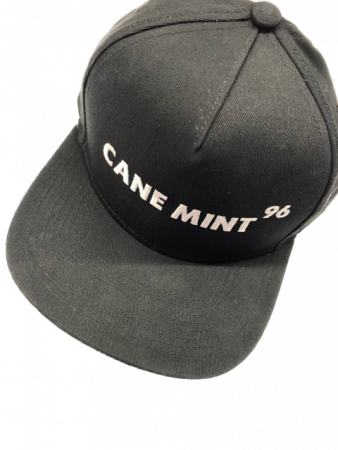 Кепка Cane Mint