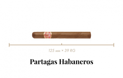 tg_image_1343455441 tg_image_1343455441