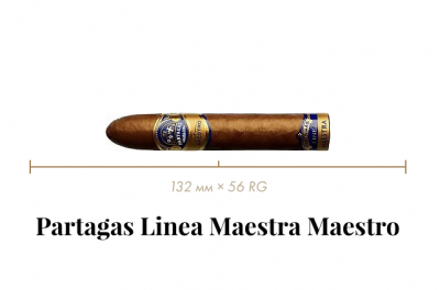 123tg_image_4196556385 123tg_image_4196556385