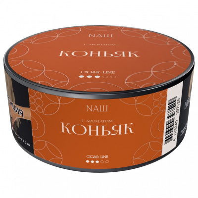 photo_2026-03-31_12-11-08