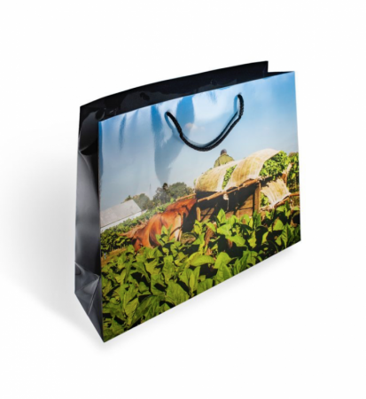 Пакет подарочный "Vega de tabaco" на 10 сигар